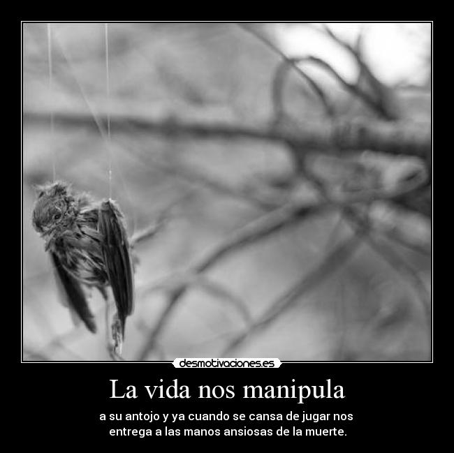 La vida nos manipula - a su antojo y ya cuando se cansa de jugar nos 
entrega a las manos ansiosas de la muerte.