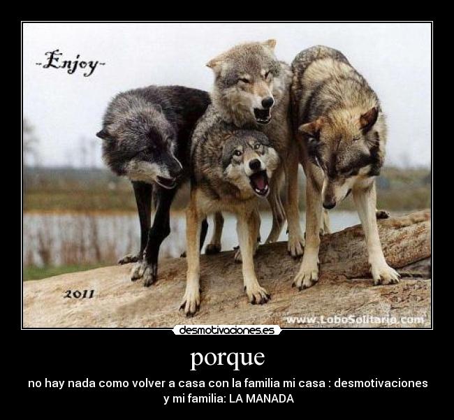 carteles clan wolf desmotivaciones