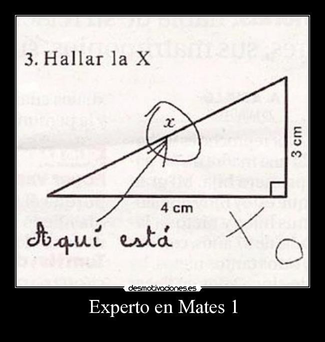 Experto en Mates 1 -