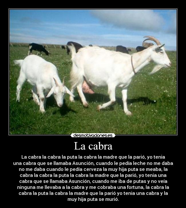 La cabra - La cabra la cabra la puta la cabra la madre que la parió, yo tenia
una cabra que se llamaba Asunción, cuando le pedía leche no me daba
no me daba cuando le pedía cerveza la muy hija puta se meaba, la
cabra la cabra la puta la cabra la madre que la parió, yo tenia una
cabra que se llamaba Asunción, cuando me iba de putas y no veía
ninguna me llevaba a la cabra y me cobraba una fortuna, la cabra la
cabra la puta la cabra la madre que la parió yo tenia una cabra y la
muy hija puta se murió.