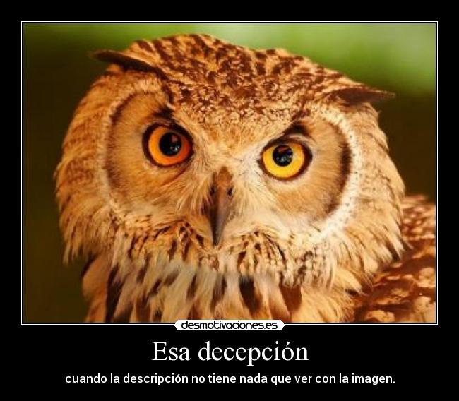 Esa decepción - cuando la descripción no tiene nada que ver con la imagen.