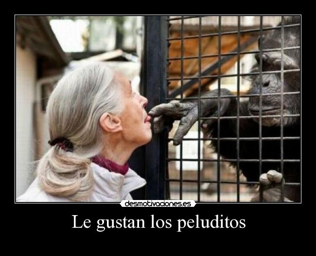 Le gustan los peluditos -