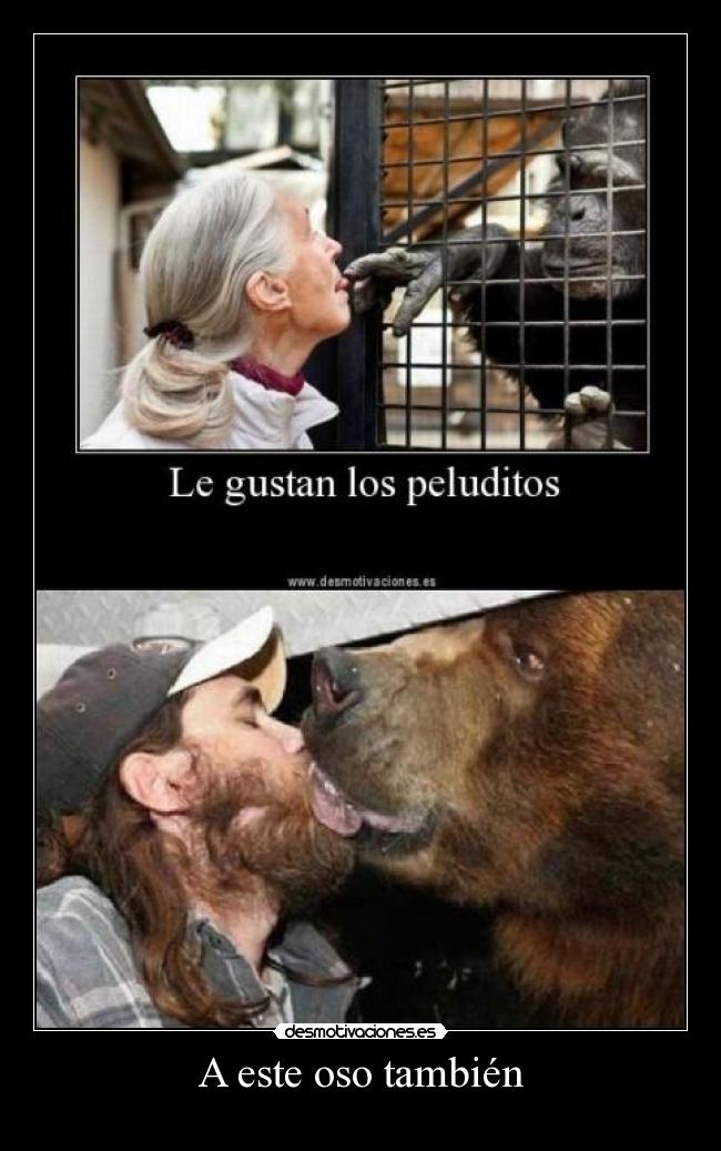 A este oso también - 