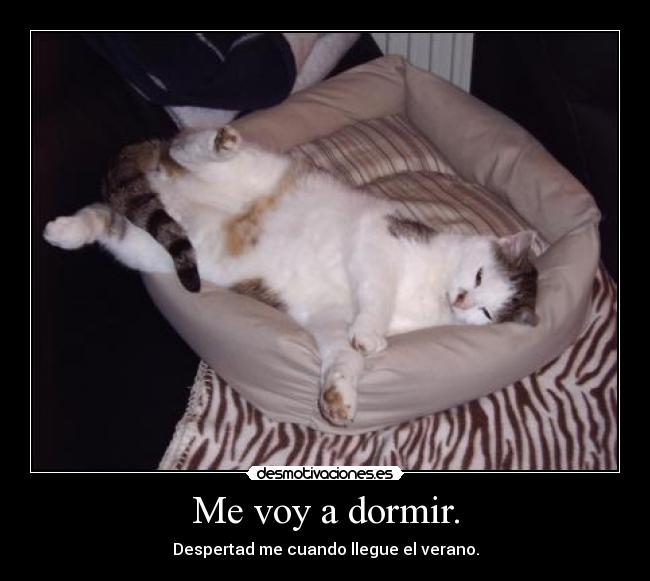 Me voy a dormir. -