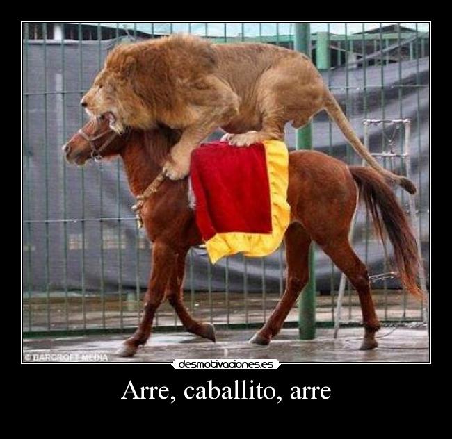 Arre, caballito, arre - 
