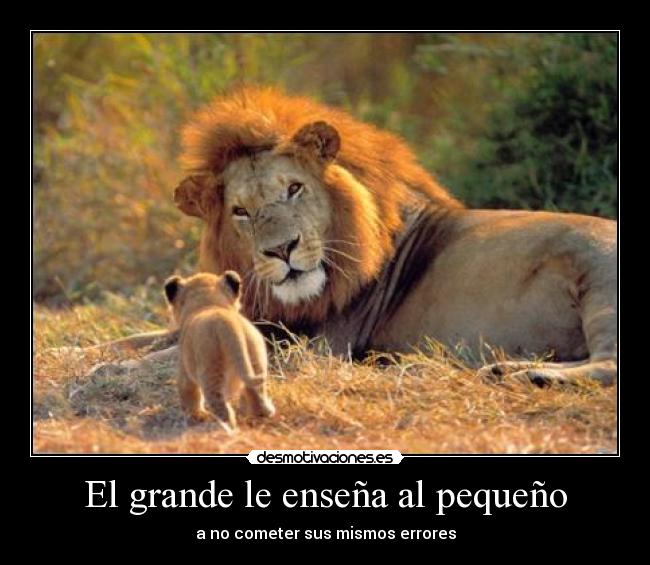 El grande le enseña al pequeño - a no cometer sus mismos errores