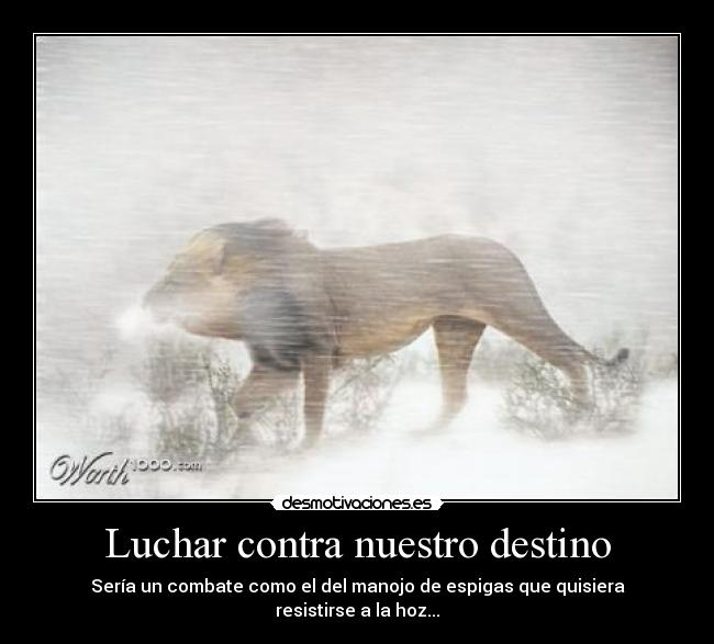 Luchar contra nuestro destino - Sería un combate como el del manojo de espigas que quisiera resistirse a la hoz...