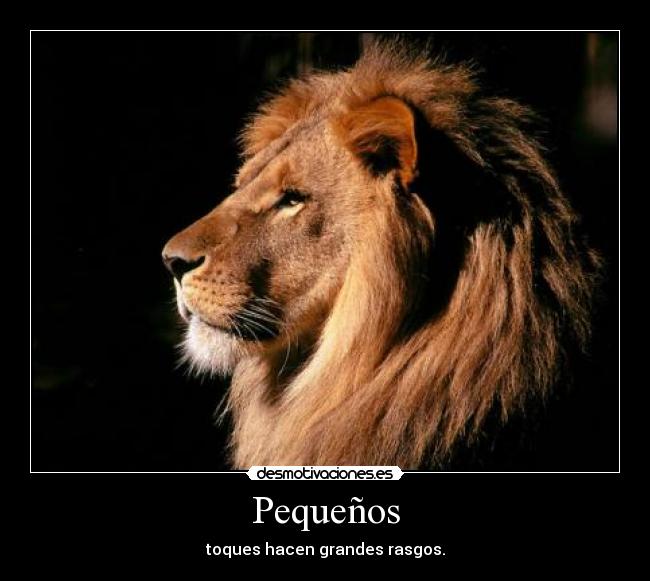 Pequeños - 