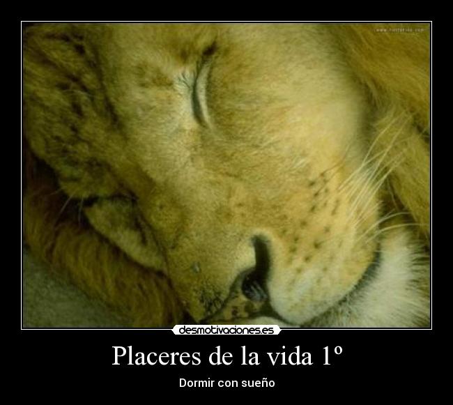 Placeres de la vida 1º -