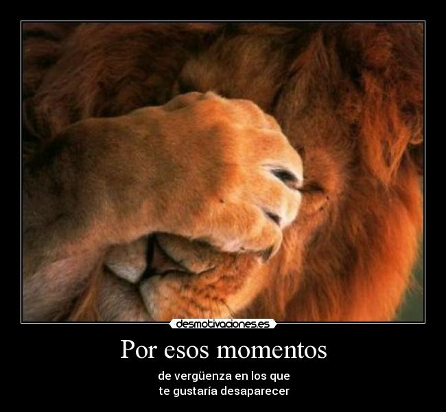 Por esos momentos - de vergüenza en los que
te gustaría desaparecer