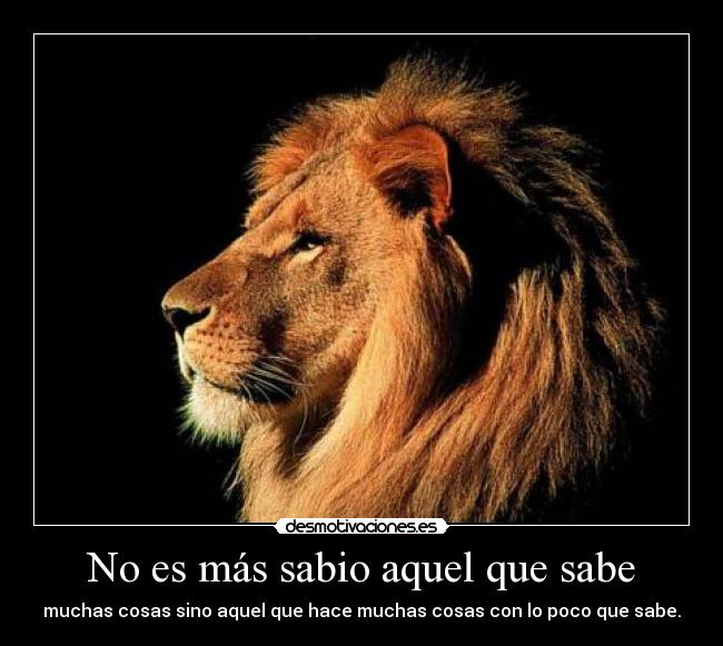 No es más sabio aquel que sabe - 