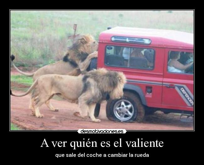A ver quién es el valiente -