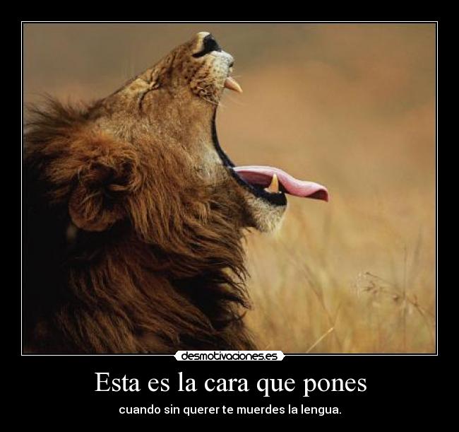 Esta es la cara que pones - cuando sin querer te muerdes la lengua.