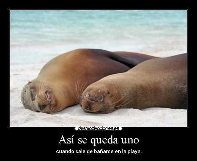 Así se queda uno - cuando sale de bañarse en la playa.