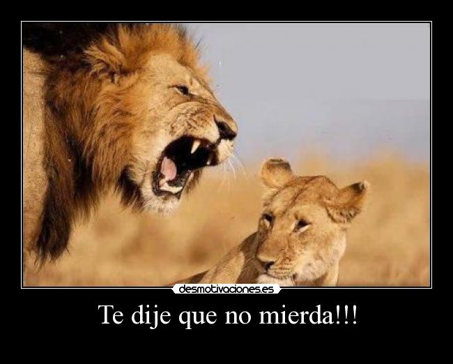 carteles dije desmotivaciones