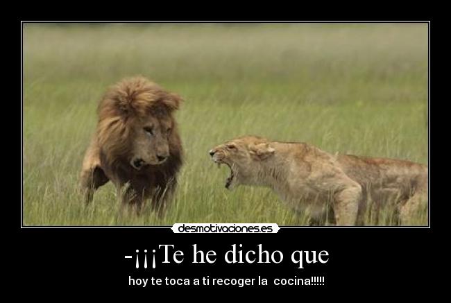 -¡¡¡Te he dicho que - hoy te toca a ti recoger la  cocina!!!!!