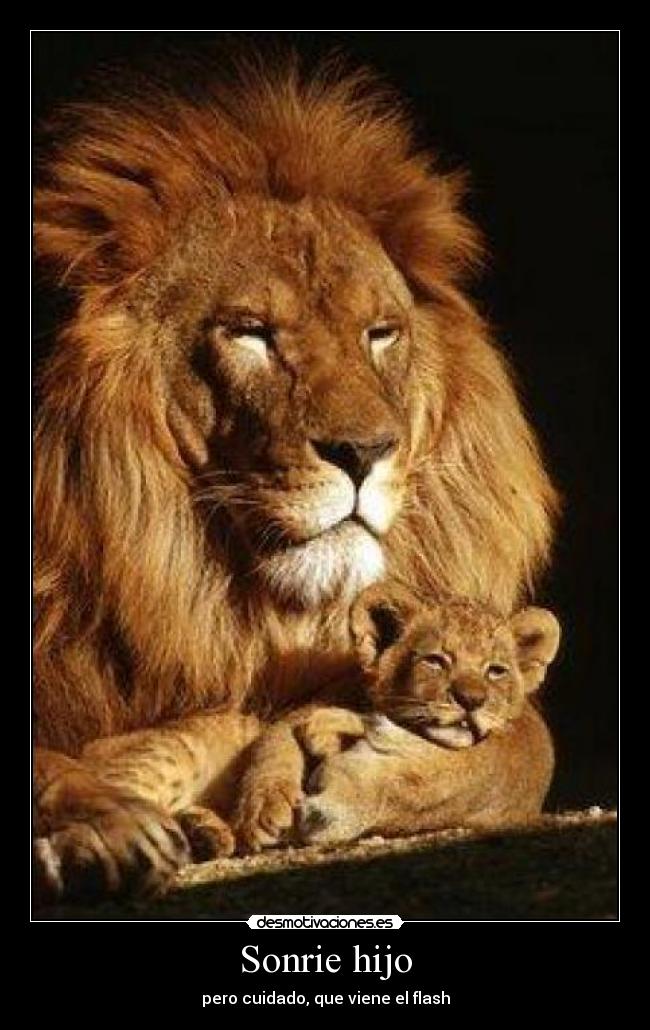 Sonrie hijo - 