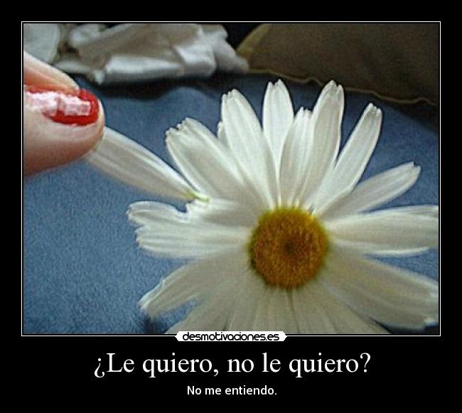 ¿Le quiero, no le quiero? -