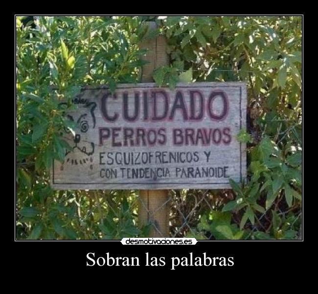carteles cartel perro desmotivaciones