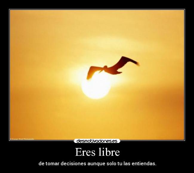 Eres libre - 