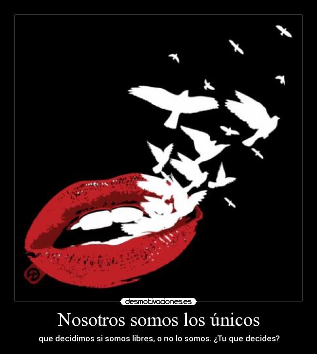 carteles libertad desmotivaciones