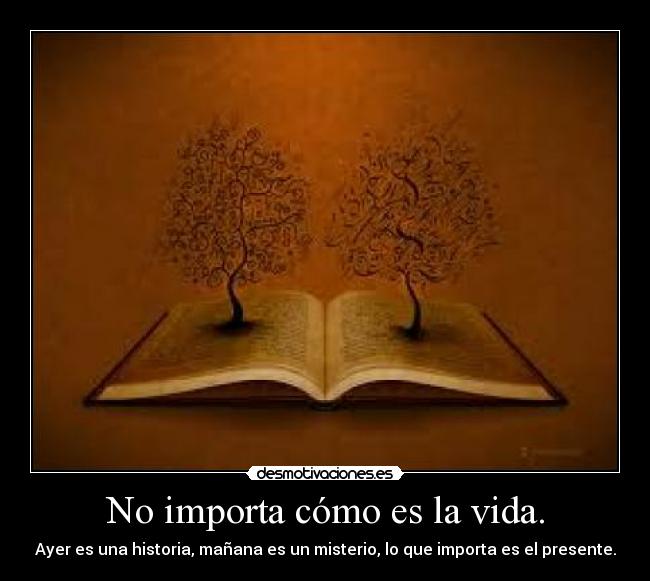 carteles vida vida desmotivaciones