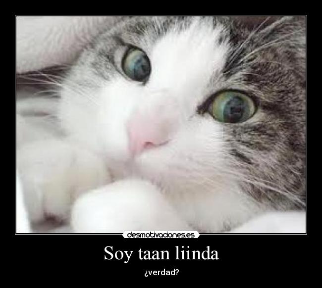 Soy taan liinda - ¿verdad?