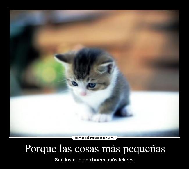 Porque las cosas más pequeñas - 