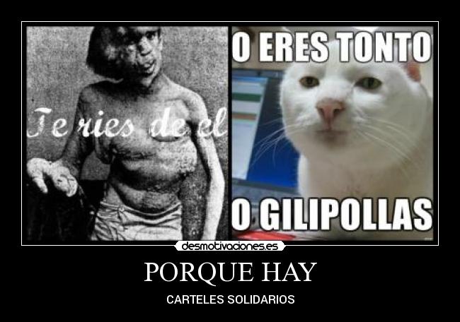 PORQUE HAY - CARTELES SOLIDARIOS