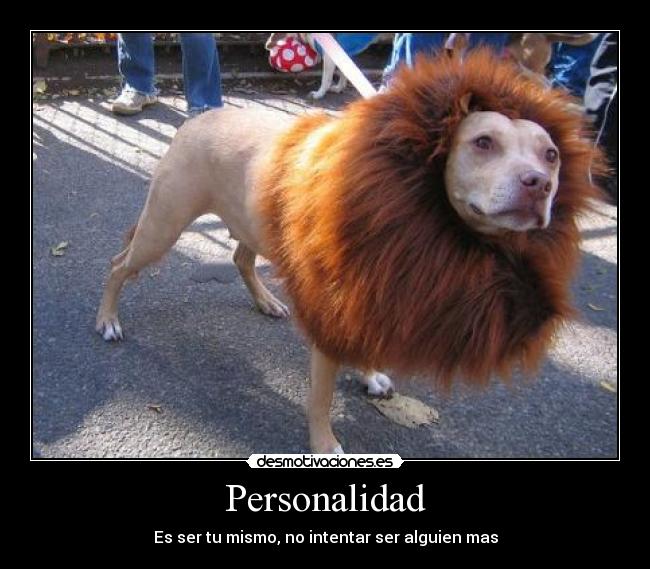 Personalidad - Es ser tu mismo, no intentar ser alguien mas
