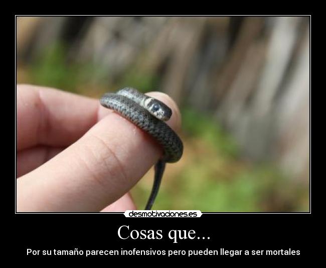 Cosas que... - 
