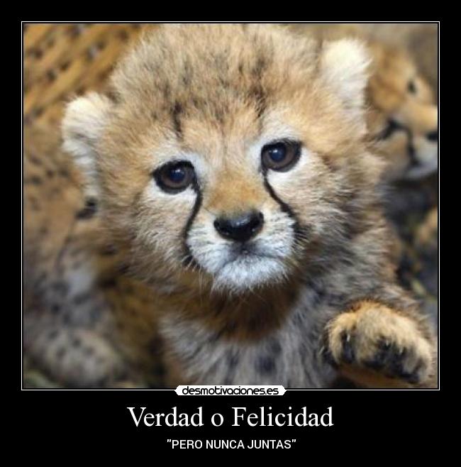 Verdad o Felicidad - PERO NUNCA JUNTAS