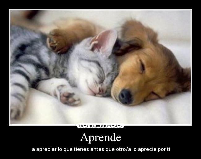 Aprende - a apreciar lo que tienes antes que otro/a lo aprecie por ti