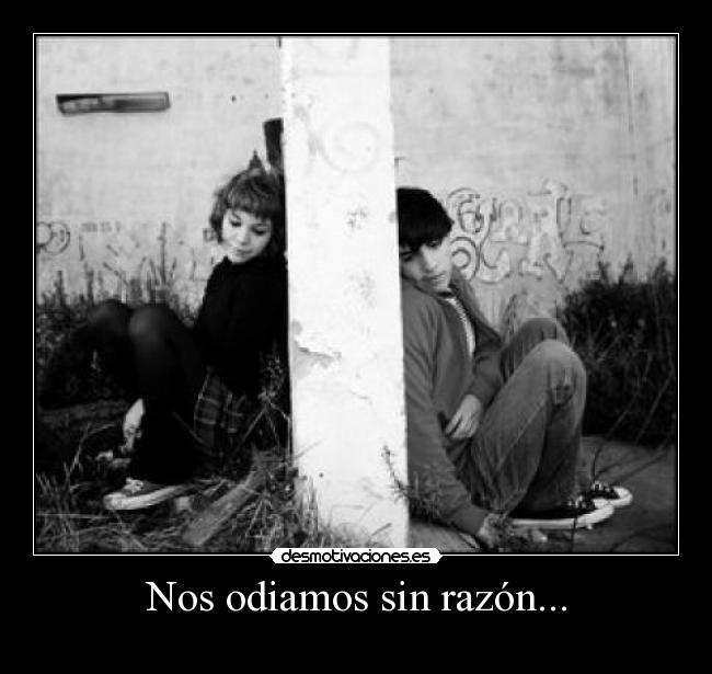 Nos odiamos sin razón... -