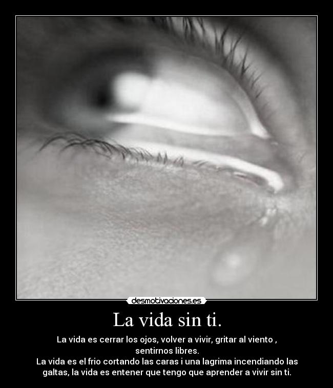 La vida sin ti. -