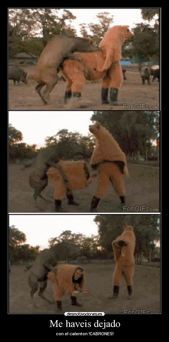 Me haveis dejado - con el calenton !CABRONES!