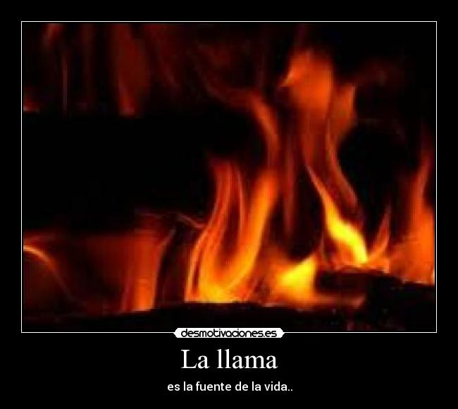 La llama - 