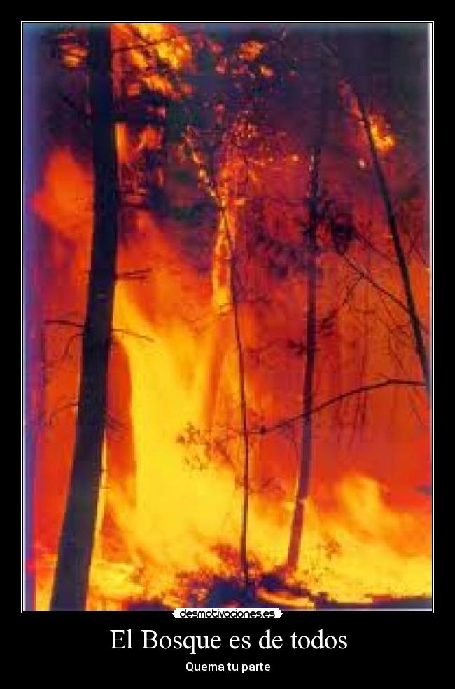 El Bosque es de todos - Quema tu parte