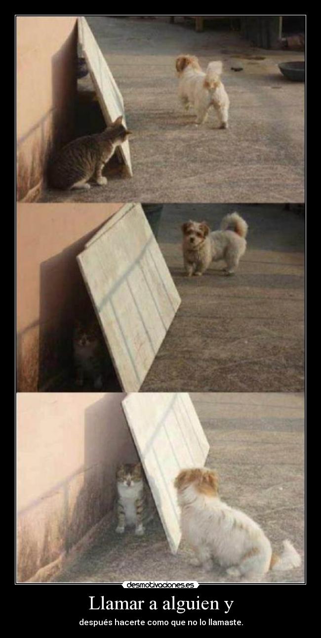 carteles amor nos hace hacer cada cosa desmotivaciones