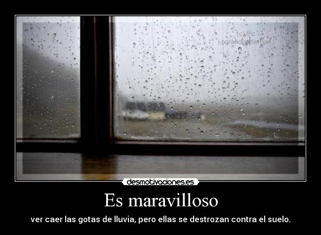 Es maravilloso - ver caer las gotas de lluvia, pero ellas se destrozan contra el suelo.