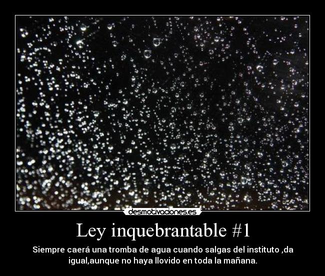 Ley inquebrantable #1 - 