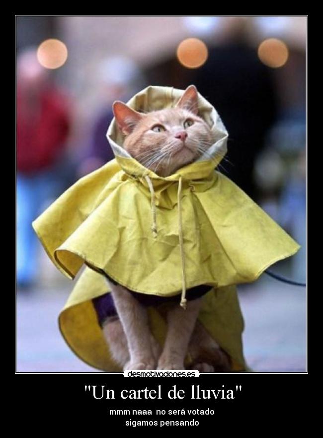 Un cartel de lluvia - mmm naaa  no será votado
sigamos pensando