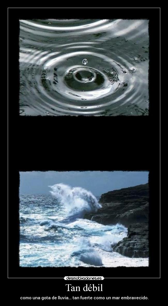 Tan débil - como una gota de lluvia... tan fuerte como un mar embravecido.