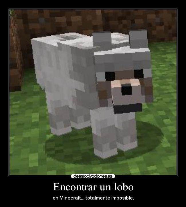 Encontrar un lobo - en Minecraft... totalmente imposible.