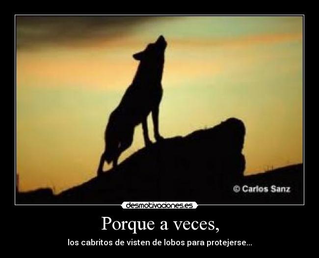 Porque a veces, - los cabritos de visten de lobos para protejerse...