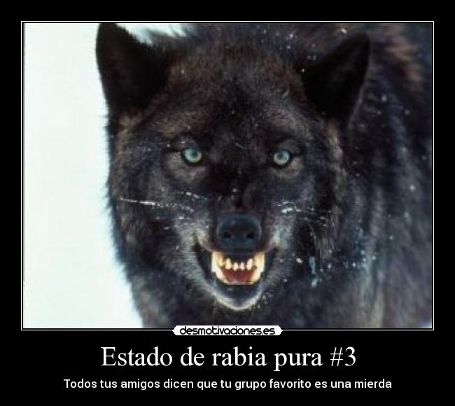 Estado de rabia pura #3 - Todos tus amigos dicen que tu grupo favorito es una mierda