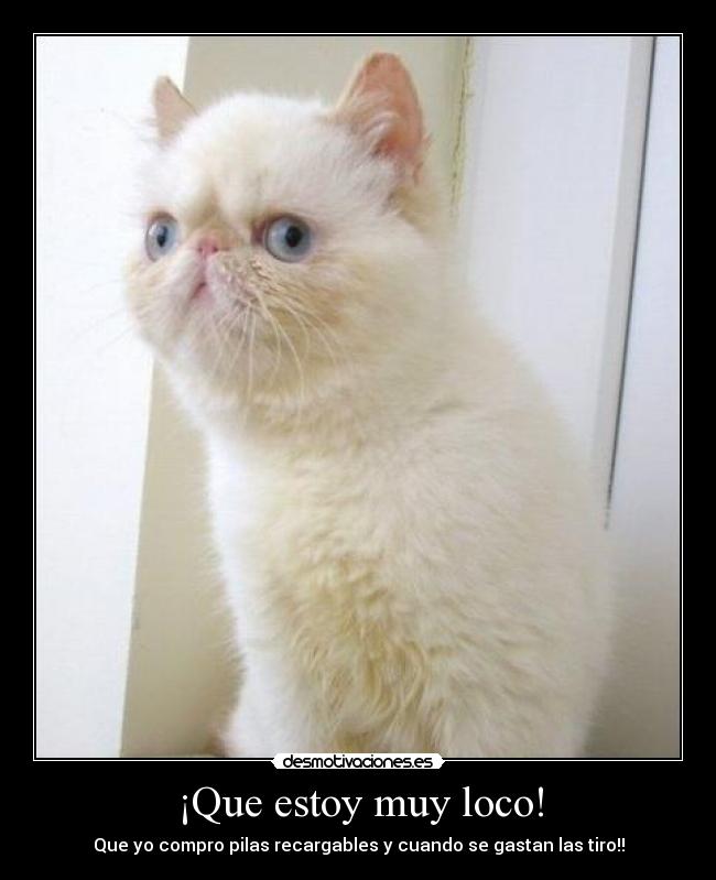 ¡Que estoy muy loco! -