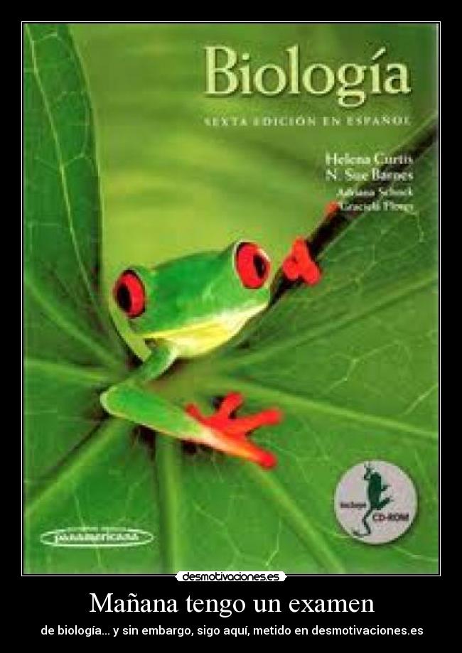 Mañana tengo un examen - de biología... y sin embargo, sigo aquí, metido en desmotivaciones.es
