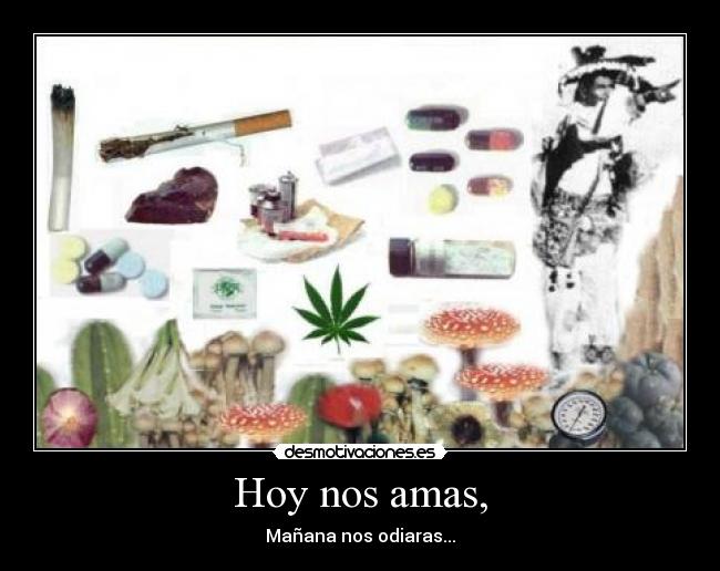 Hoy nos amas, - Mañana nos odiaras...