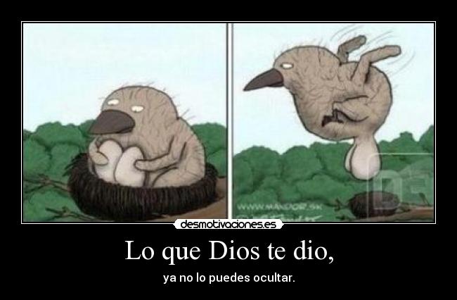 Lo que Dios te dio, - 